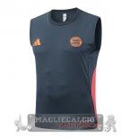 Formazione Senza Maniche Maglia Bayern Monaco 2025 2026 Grigio Navy Formazione Senza Maniche Maglia Bayern Monaco 2025 2026 Grigio Navy