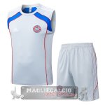 Set Completo Formazione Senza Maniche Maglia Bayern Monaco 2025 2026 Grigio Blu Set Completo Formazione Senza Maniche Maglia Bayern Monaco 2025 2026 Grigio Blu
