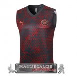 Manchester City Formazione Senza Maniche Maglia Calcio 2023-2024 Rosso Grigio