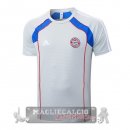 Formazione Maglia Bayern Monaco 2025 2026 Grigio Blu