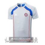 Formazione Maglia Bayern Monaco 2025 2026 Grigio Blu