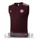 Formazione Senza Maniche Maglia Bayern Monaco 2025 2026 Borgogna