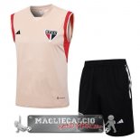 Sao Paulo Senza Maniche Formazione Set Completo Maglia Calcio 2023-24 Giallo Arancione