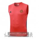 Formazione Senza Maniche Maglia Bayern Monaco 2025 2026 Rosso